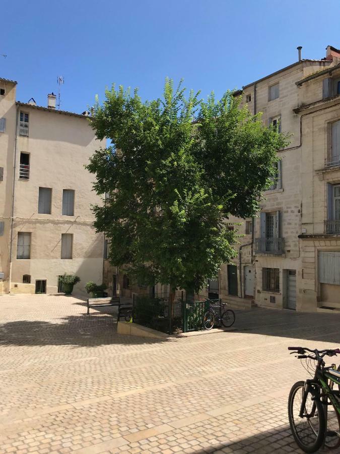 Super Appart T2 - Historic Center - Idealement Situe Montpellier Exterior foto